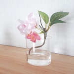 ~2019新作~春桜割れない枯れない