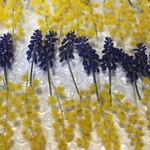 お花屋さんが作った本日のドライフラワーmix   c-④