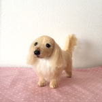 羊毛 ミニチュアダックス   クリーム