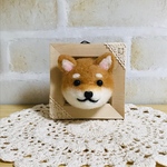 ミニフレームinしば犬