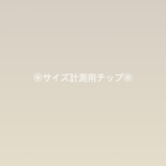 サイズ計測用チップ