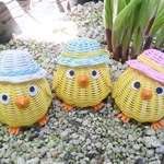 ひよこ三兄弟