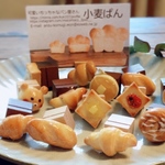 ウッドプッシュピン2個セット🥖