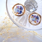  透明感のあるブルー系押し花のイヤリング・ピアス