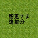 智恵さま追加分