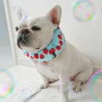 ひぇひぇNeck    イチゴ柄