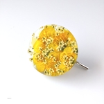 押し花🌼レジンのポニーフック（菜の花b）、ヘアゴム
