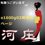 【e1600g02様専用ページ】かんざし「三味線」