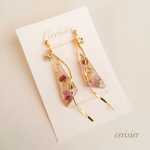 トライアングル×ドライフラワーピアス/イヤリング
