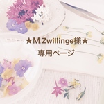 ★M.Zwillinge様★専用ページ
