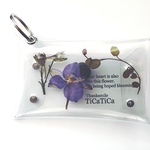 デルフィニウム mini  garden porch