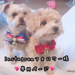 Instagramフォロワー様限定