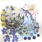 【ワンコイン/押花】押し花カラフルセット 花かんざし