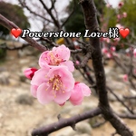 Powerstone Love様専用ページ