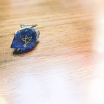 cosmic ring 