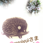 🌸xyuiyuiさま専用ページ🌸