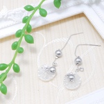 花びらシェルビーズ＊コットンパール＊人魚姫のピアス＊ホワイト