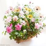 ミニバラ・スイートメモリーの優しさを運ぶ花かご（寄せ植え）
