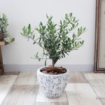 ＜オリーブ＞シャビーシックな植木鉢 現品 
