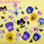 ♡押し花素材♡ビオラ、バーベナ、ハート♡