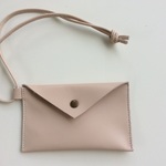 re-born Pass case
