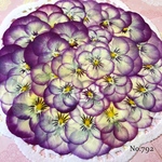 ♡new♡作家様必見♡ ♡赤花処理済み♡ ♡人気のビオラ♡押し花セット