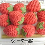 ☆hatosabucan様専用☆オーダー品