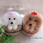 aaaalisa 様専用 ひょっこりわんブローチ『うちの子オーダー』毛糸わんこ(mii wool&wool)