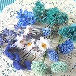 【ドライフラワーアソート③】花かんざし・千日紅・スターチス他