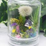 タンポポの綿毛が可愛い♪天然石の池と猫♪