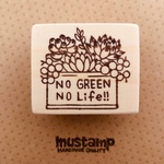 多肉寄せ植え no green no life