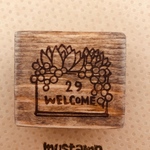 多肉寄せ植え welcome29