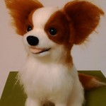 パピヨン
