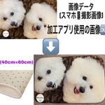 うちのこマット💕お気に入りの画像でマット製作 うちの子 オーダー