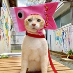 🎏こいのぼり🎏かぶりもの帽子