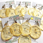 【nekochan01様専用】ジューシースライスレモンの大ぶりピアス🍋