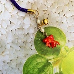 ♪赤いべべ着た可愛い金魚♪根付け