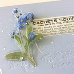 野の花ブローチ (忘れな草)