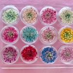12色（60枚以上＋10枚）🌼レインボー★ レースフラワー🌈ケース付(各色5枚)★(>◡<๑)/🌼ハンドメイド⑤