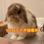 しあわせの使者