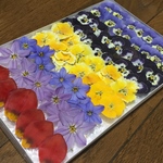お花屋さんが作った本日のドライフラワーmix   a-6