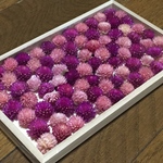 お花屋さんが作った本日のドライフラワーmix   a-⑧