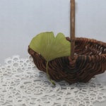 [留め具の選択可]Autumn Leaf Ginkgo GＢ