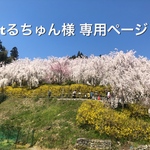 tるちゅん様 専用ページ