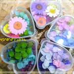 【花材】可愛いハートケース入り 花材セット レジン封入 ネイル ハーバリウム ５種 約５グラム