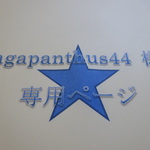 Ｇ型ノンホールピアス オーダー品
