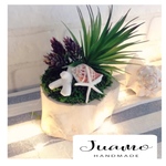 shell  & green 海辺のアレンジ