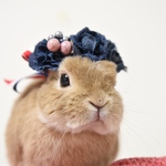デニムのOu花かんむり  立ち耳用