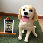 myoco myocoさんオーダー品ビーグル