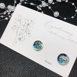 夜空ピアス・イヤリング